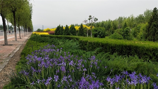 標題：張家口經開區秋季清水河生態綠廊建
瀏覽次數：2273
發表時間：2020-10-16