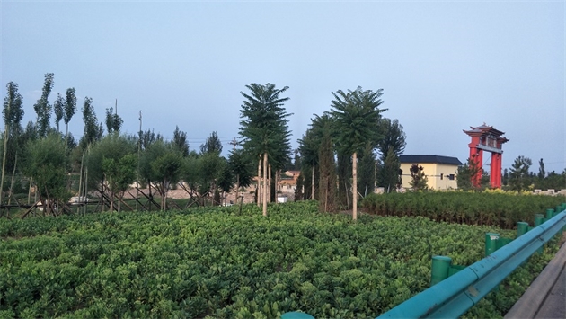 標(biāo)題：張家口經(jīng)開區(qū)腰站堡飲用水源地生態(tài)涵養(yǎng)綠化
瀏覽次數(shù)：2572
發(fā)表時(shí)間：2020-10-16