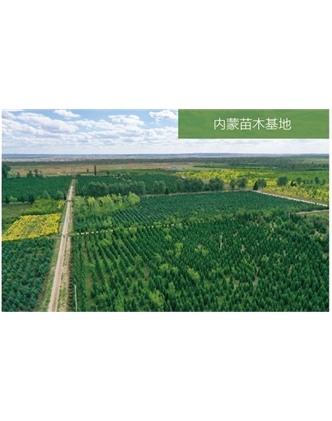 標題：苗木基地
瀏覽次數(shù)：2023
發(fā)表時間：2020-10-17
