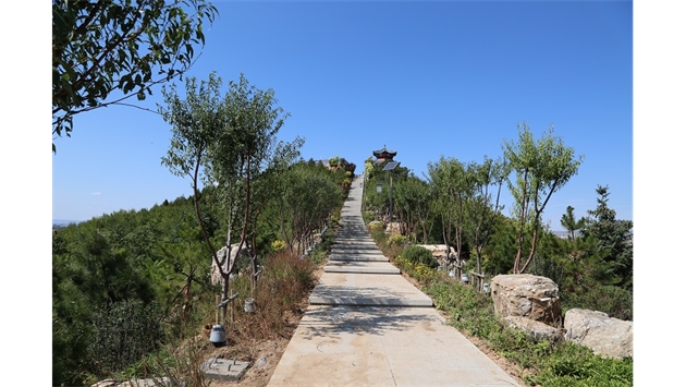 標題：張家口太子山山體修復
瀏覽次數：18306
發表時間：2020-11-12